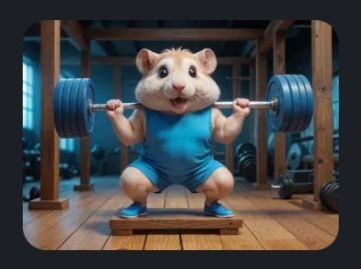 Gym hamster